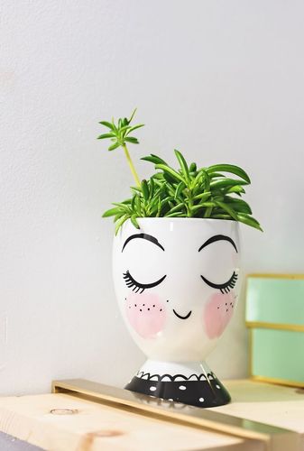 Customer photo review of Eyelash Planter