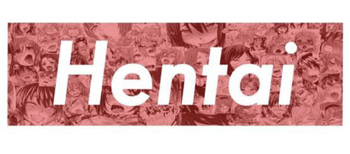 Customer photo review of 13cm x4cm Hentai Sexy Anime Waifu Stickers