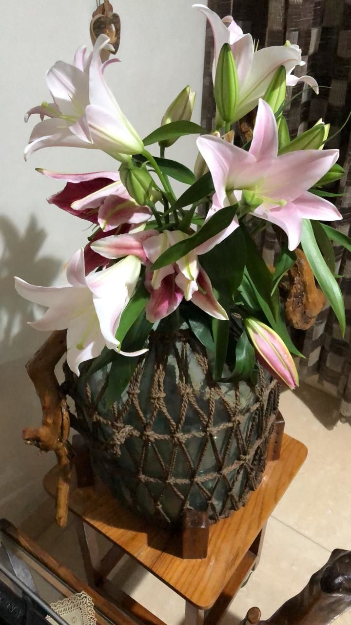 Customer photo review of Oriental Lily