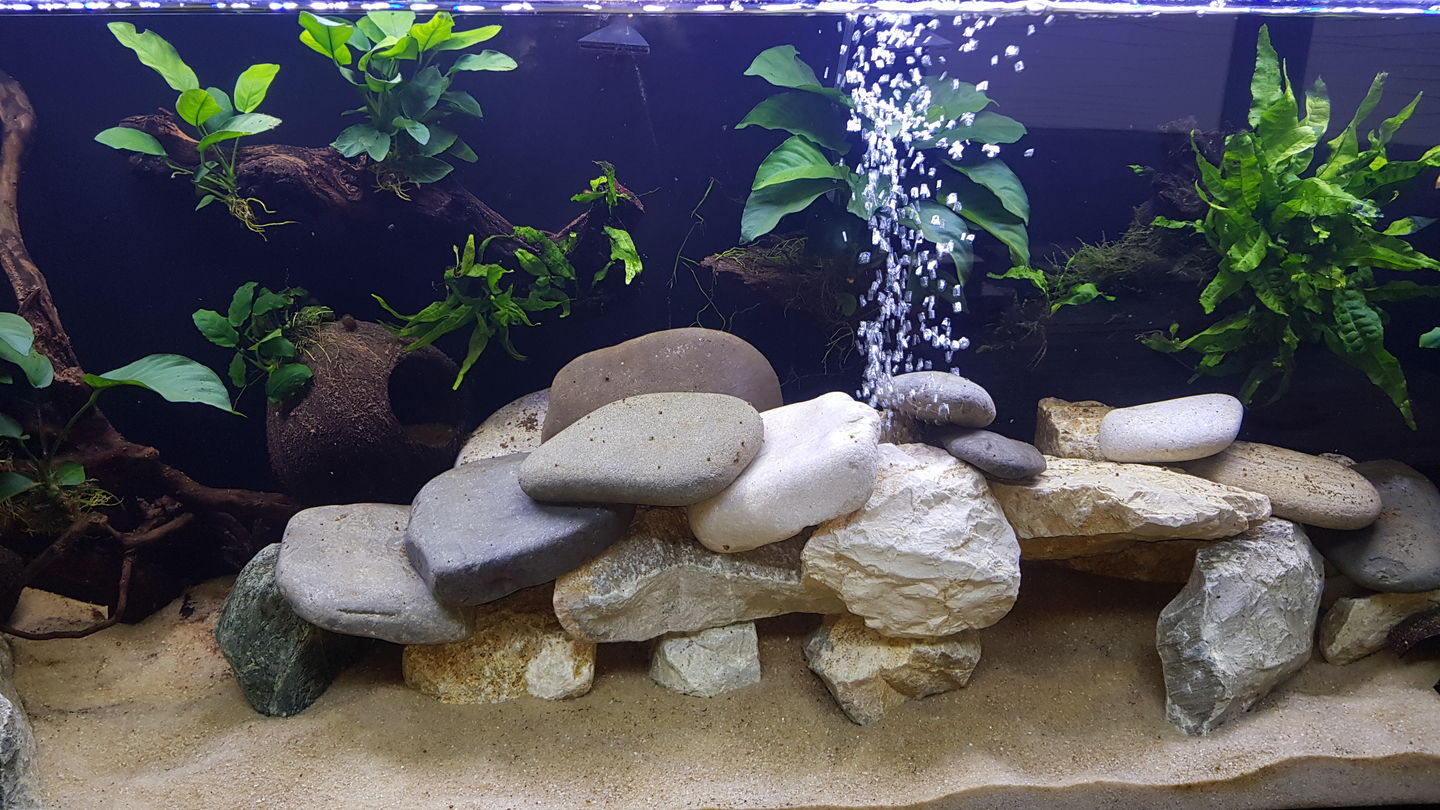 Customer photo review of Pompe à air JBL Prosilent a200 - pour Aquarium de 50L à 300L