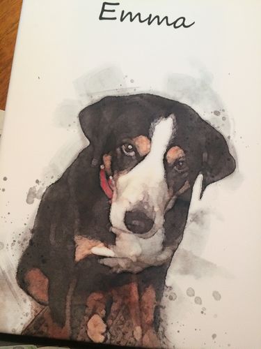 Customer photo review of Individuelles Haustierporträt - Leinwanddruck