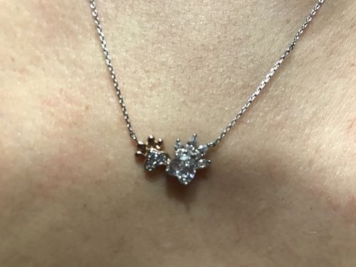 Customer photo review of Paw Bath Bomb - Paw Necklace Collection