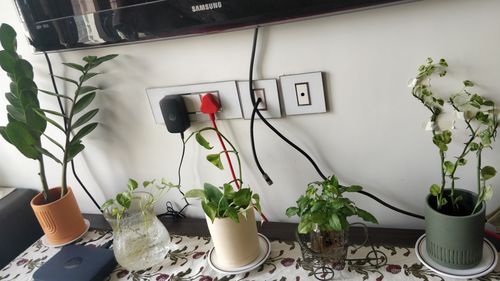 Customer photo review of Etched Planter (SET OF 3)