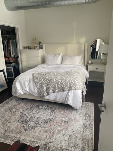 Customer photo review of Distressed Vintage Cezanne Blush Area Rug