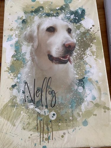 Customer photo review of Aquarell