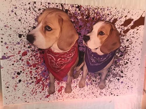 Customer photo review of Portrait Contemporain - Duo