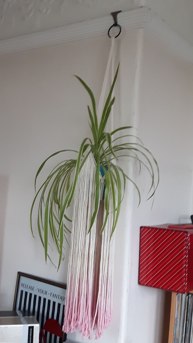 Customer photo review of Victorian Picture Rail Hooks