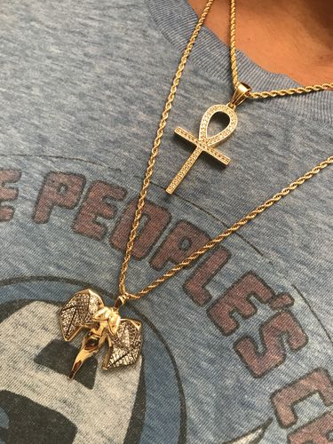 Customer photo review of Ancestor Life Bundle