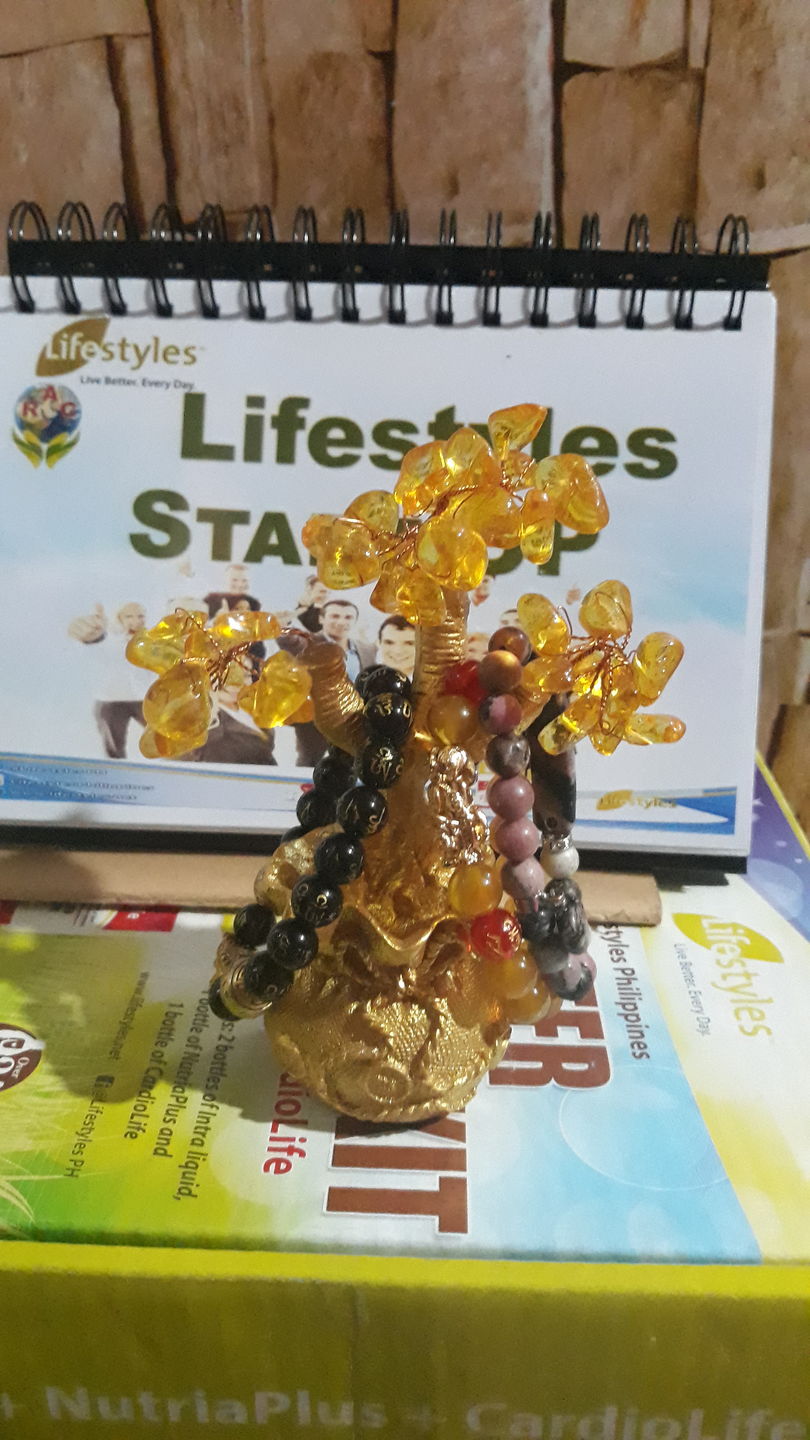 Customer photo review of Feng Shui Citrine Money Tree Wealth Ornaments