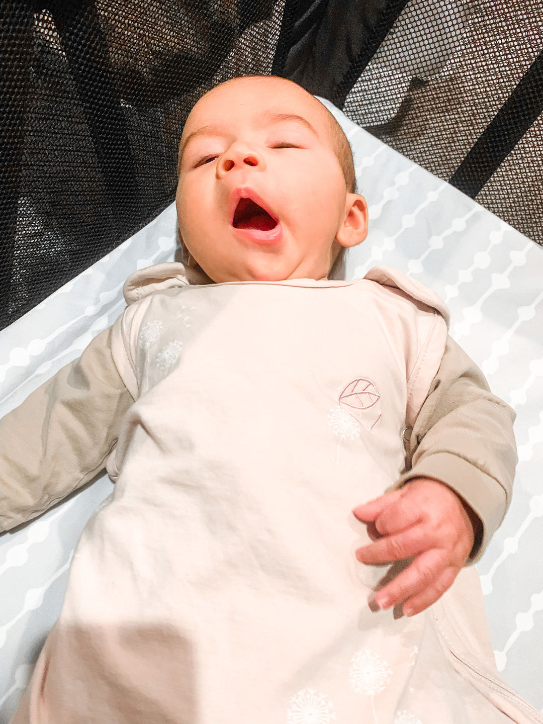 Customer photo review of Ecolino® Adjustable Baby Sleep Bag, Organic Cotton, Universal Size: 2 Months - 2 Years, Dandelion