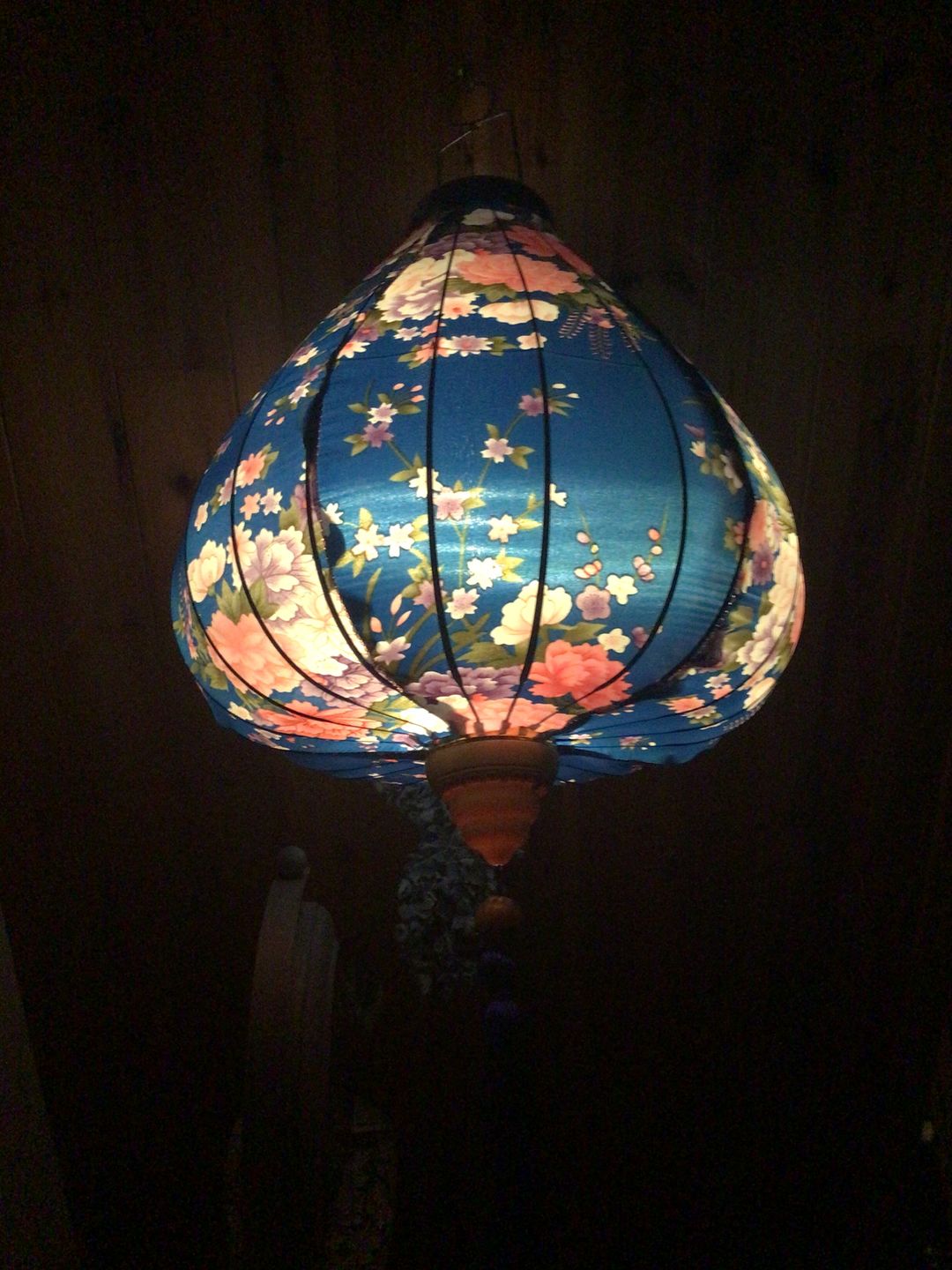 Customer photo review of Fantado MoonBright™ Remote Control for V212LEDRMT 12 LED Multi-function Paper Lantern Light