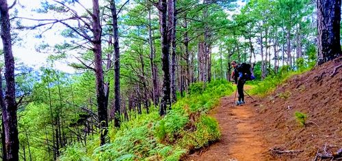 Customer photo review of Hoka One One Men's Speedgoat 3 Waterproof