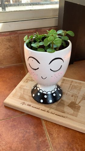 Customer photo review of Eyelash Planter