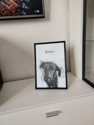 Customer photo review of Individuelles Haustierporträt - Posterdruck