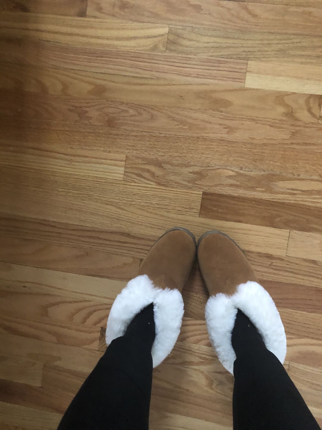 Customer photo review of LADIES SHEEPSKIN BOOTIE