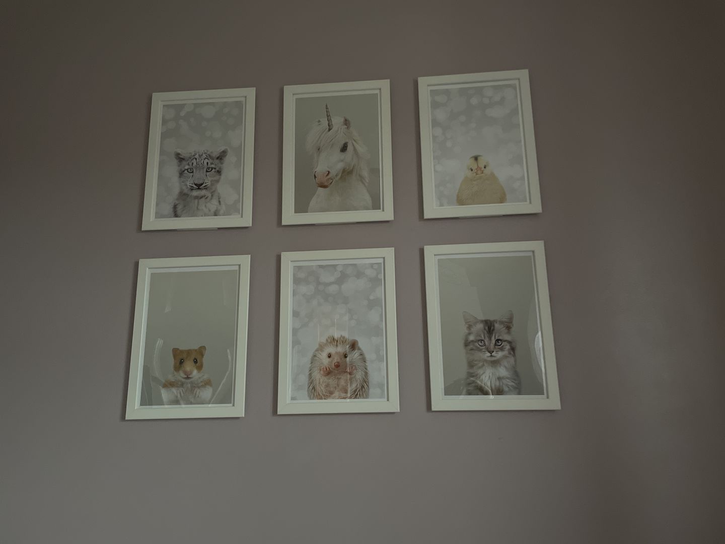 Customer photo review of Snow Leopard Nursery Print