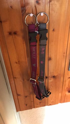 Customer photo review of Personalisierbares Hundehalsband