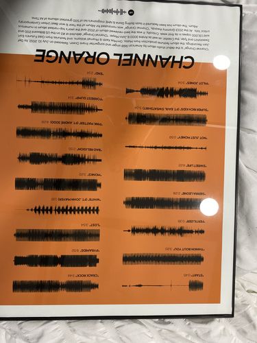 Customer photo review of "Channel ORANGE" by Frank Ocean