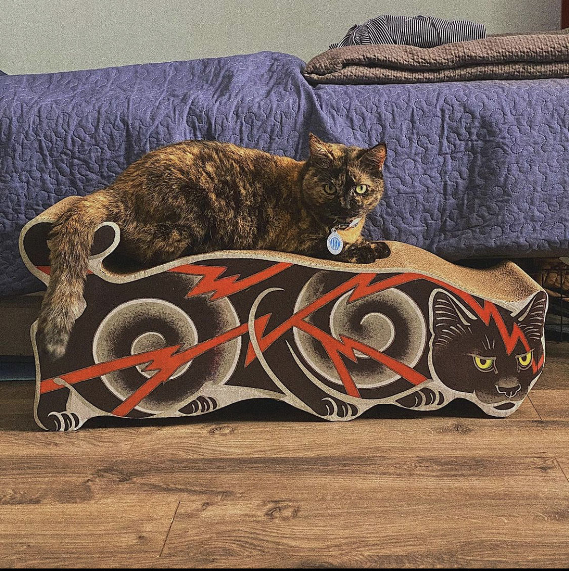 Customer photo review of Electric Cat Scratcher
