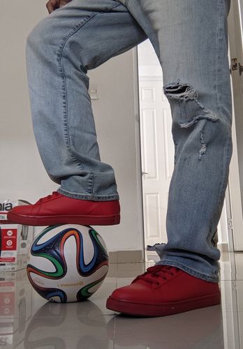 Customer photo review of Theremin Rojo