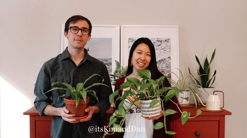 Customer photo review of EARTH TONES VIDEO LUTS (MOBILE & DESKTOP)