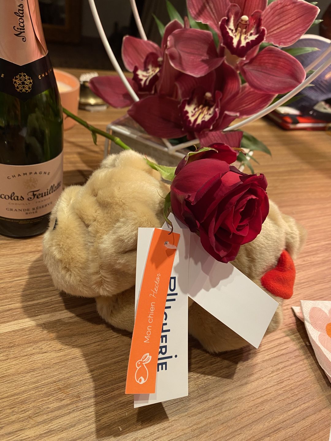Customer photo review of Ma peluche Chien Hector Mini Rockeur