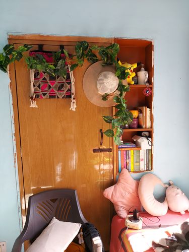 Customer photo review of Hanging Leaf Vine