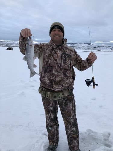 Customer photo review of Men's Cedar Branch Insulated Waterproof Bibs