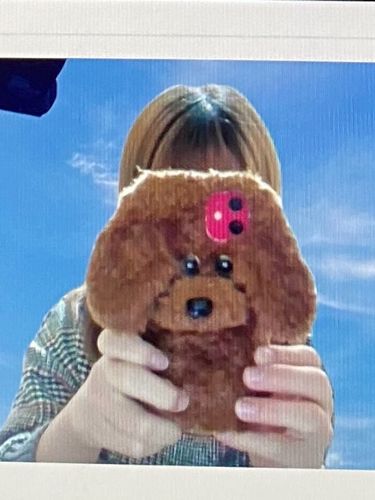 Customer photo review of Big Teddy Dog Brown iPhone Case