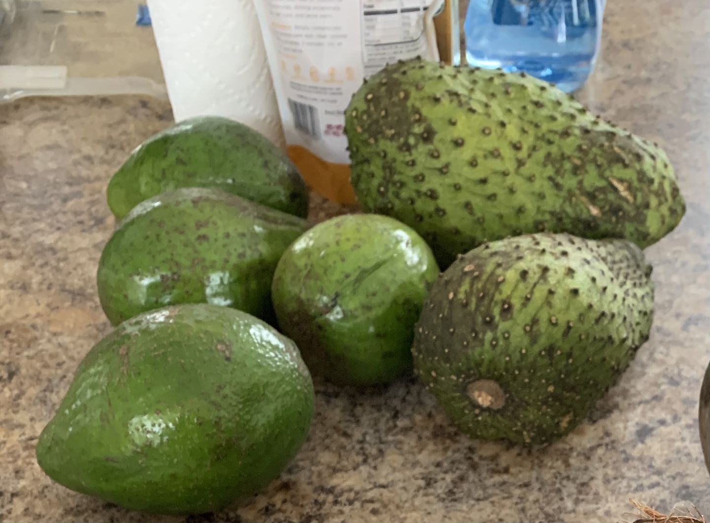 Customer photo review of Avocado Box