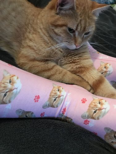 Customer photo review of Nogavice s tvojim mačkom
