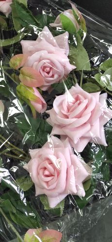 Customer photo review of Rose Flower vine