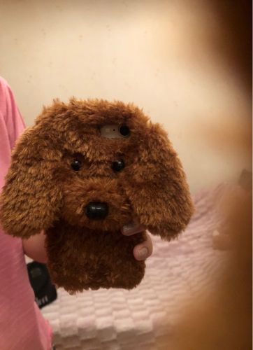 Customer photo review of Big Teddy Dog Brown iPhone Case