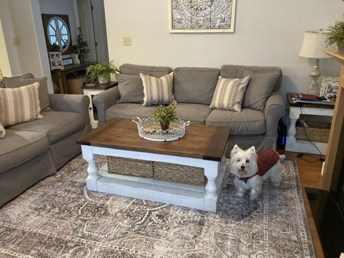 Customer photo review of Distressed Vintage Kendra Ash Area Rug
