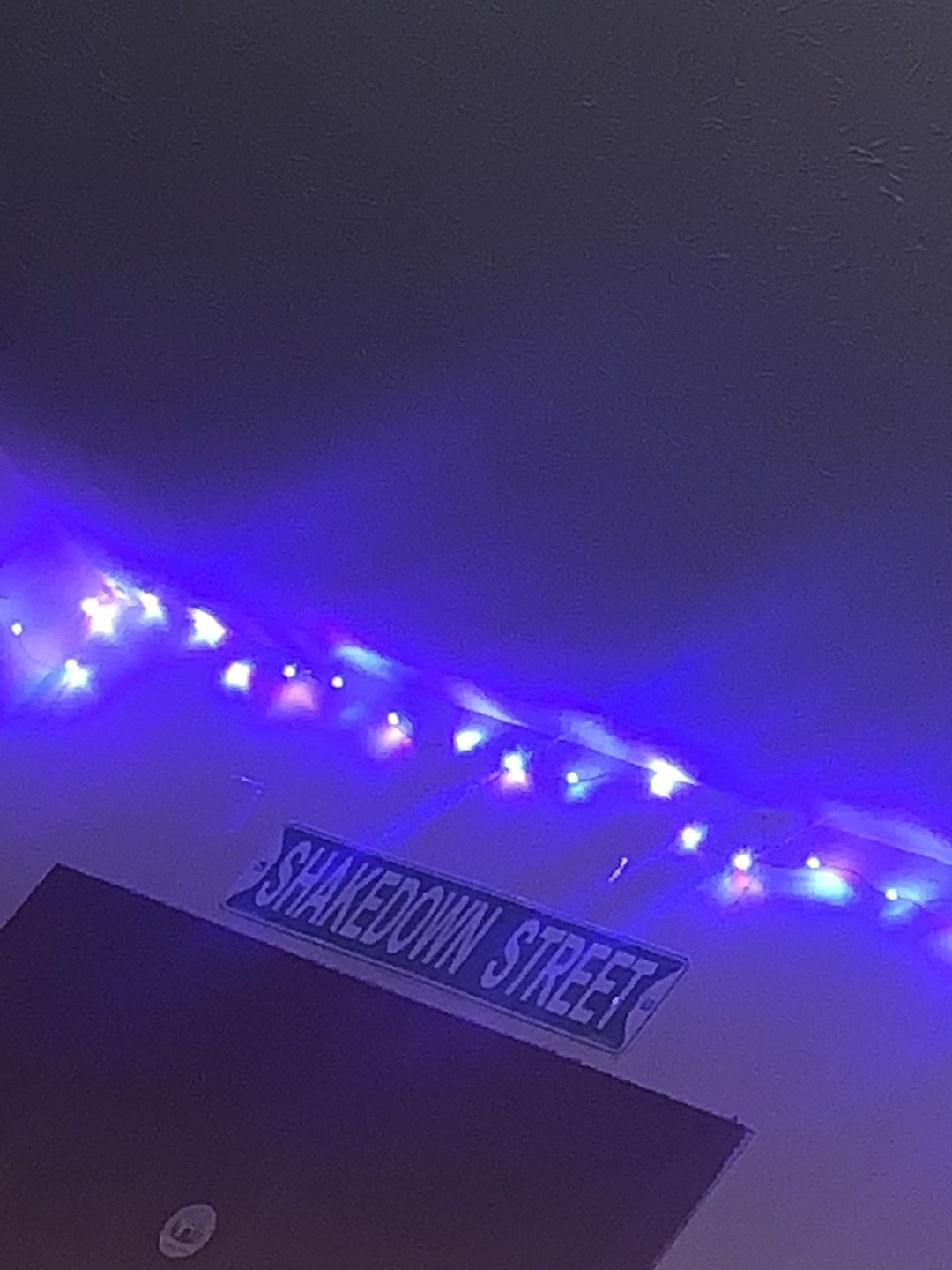 Customer photo review of Grateful Dead Shakedown Street Sign