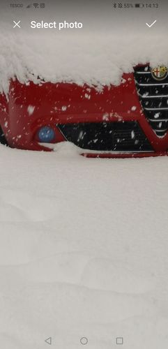 Customer photo review of Alfa Romeo Mito Fog Light Armour