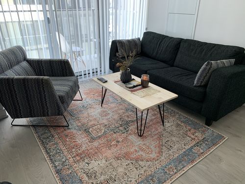 Customer photo review of Distressed Vintage Cezanne Terracotta Sky Area Rug