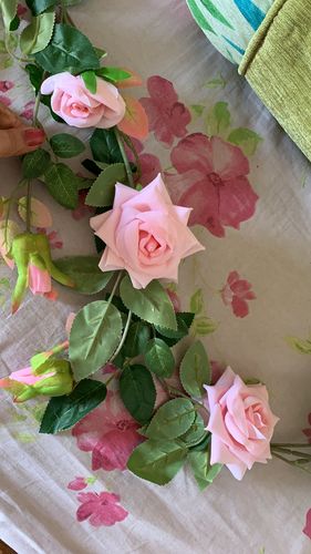 Customer photo review of Rose Flower vine