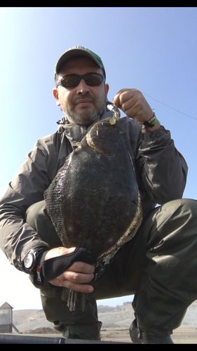 Customer photo review of PACK FIIISH DELUXE