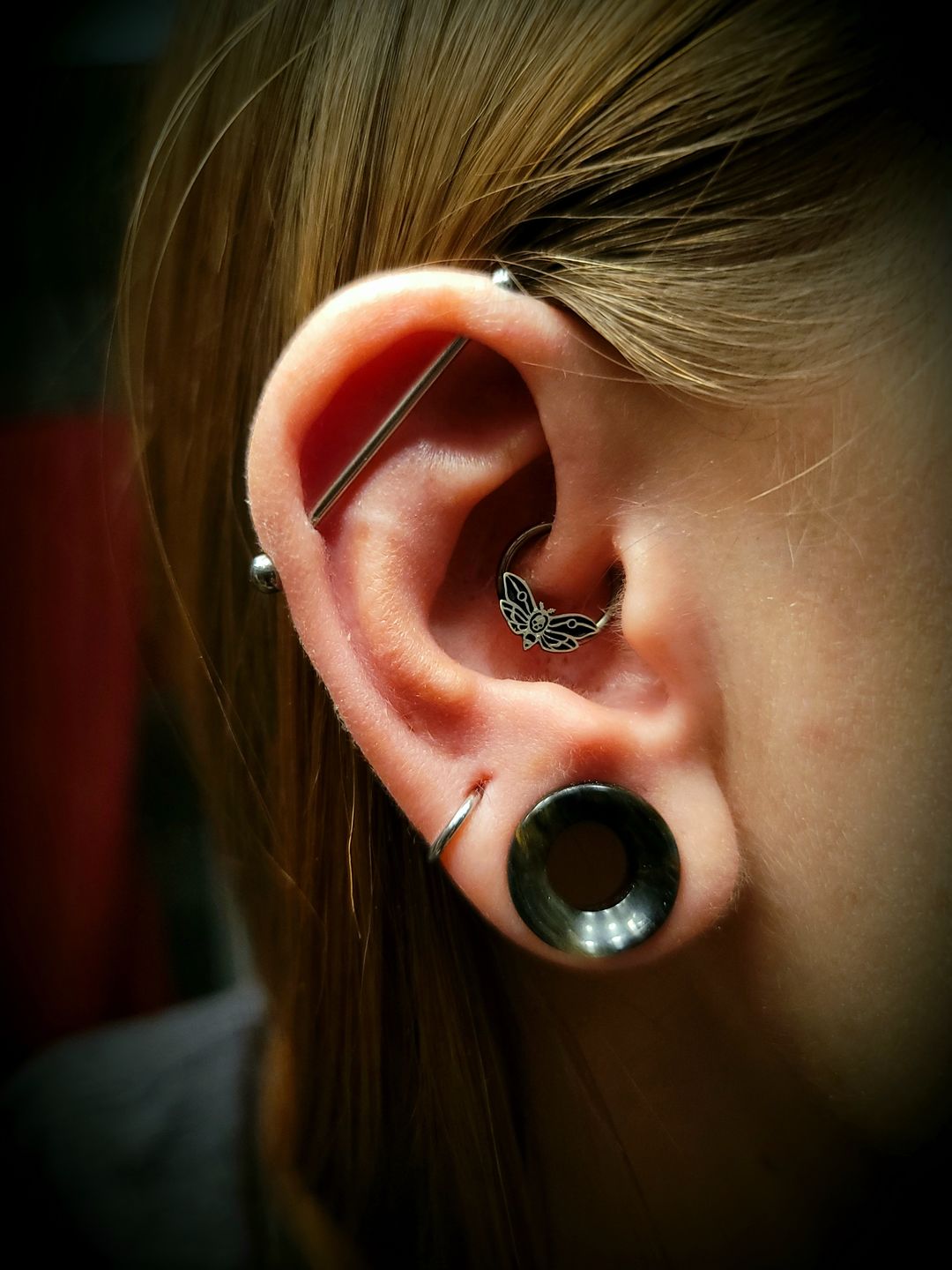 Customer photo review of 16G Death's Head Moth Captive Bead Ring