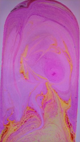 Customer photo review of Goddess Bath Bomb