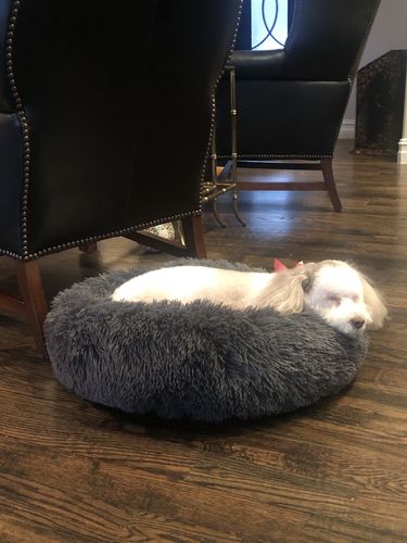 Customer photo review of Comfy Pet Bed Calming High Stretch Soft Faux Fur for Dogs &  Cats