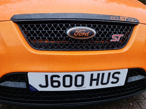Customer photo review of Domed Number Plate Badges