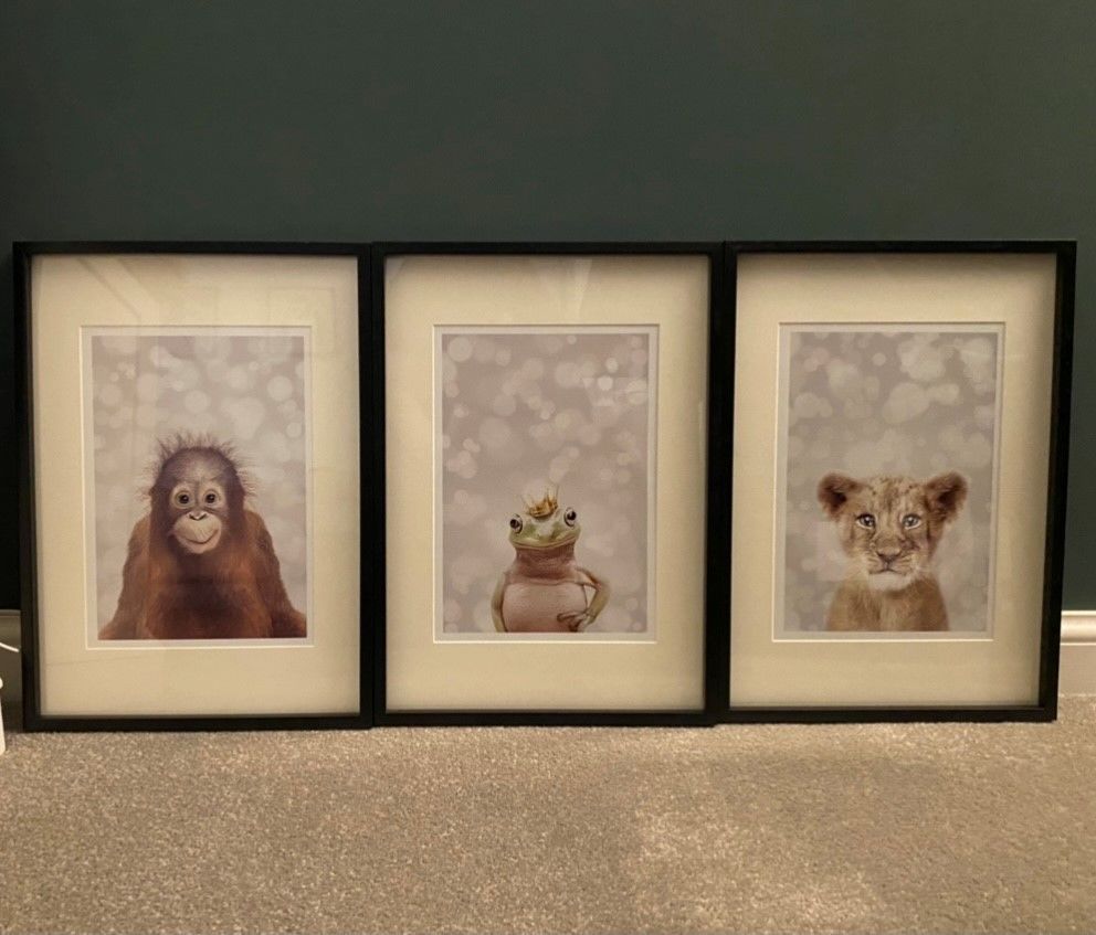 Customer photo review of Orangutan Nursery Print