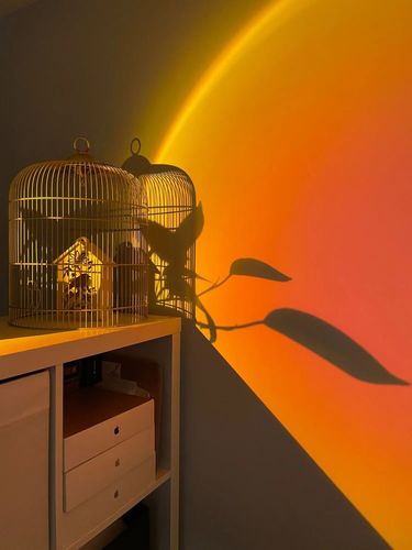 Customer photo review of Vespani Sunset Projector