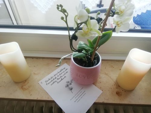 Customer photo review of VALENTIN - HERZ - ORCHIDEE! Phal. TABLE DANCE 2 Rispen in Herzform, Keramiktopf mit Herzmotiv