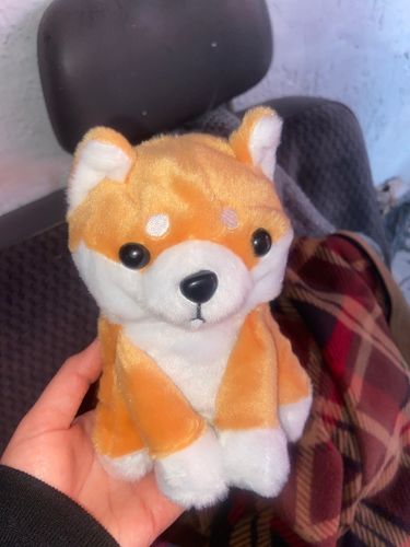 shiba inu talking to toy