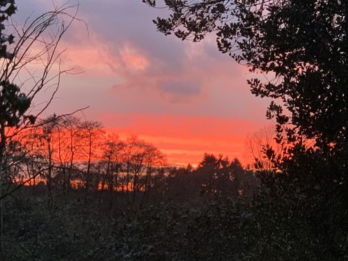 Customer photo review of Apple iPhone XS 64GB Space Grey Unlocked Refurbished Excellent