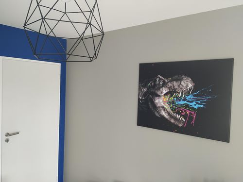 Customer photo review of Tableau Dinosaure Trex Color
