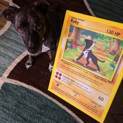 Customer photo review of Pokepet
